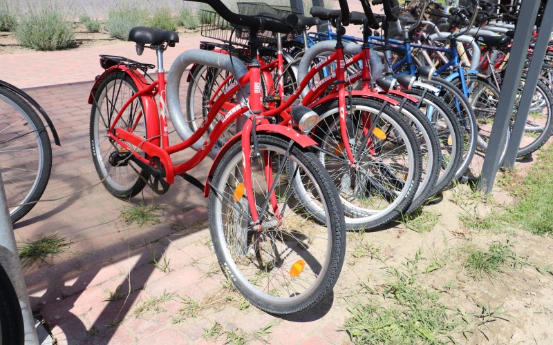 Bicycles 3
