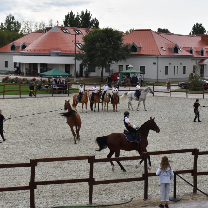 Horse Riding