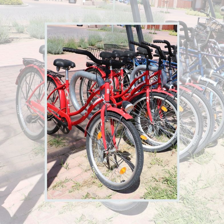 Bike Rental