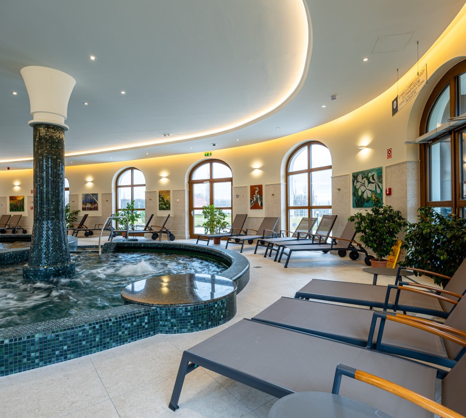 Hungarikum Hotel - Kamillavirág Wellness (23)